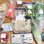令和元年の「らでぃっしゅぼーや」のお得なお試しセットレビュー